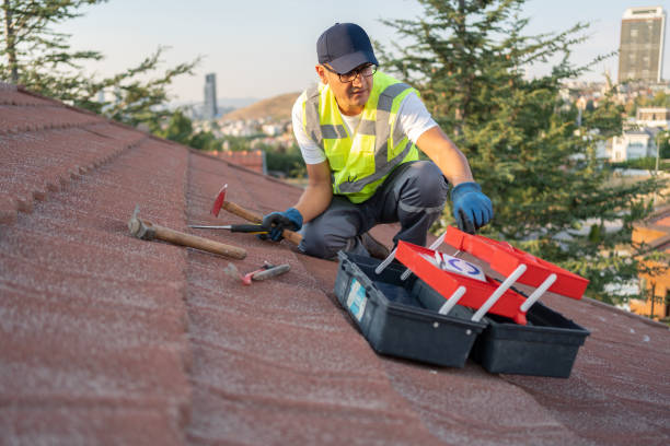 Best Vinyl Siding Installation  in Camp Wood, TX